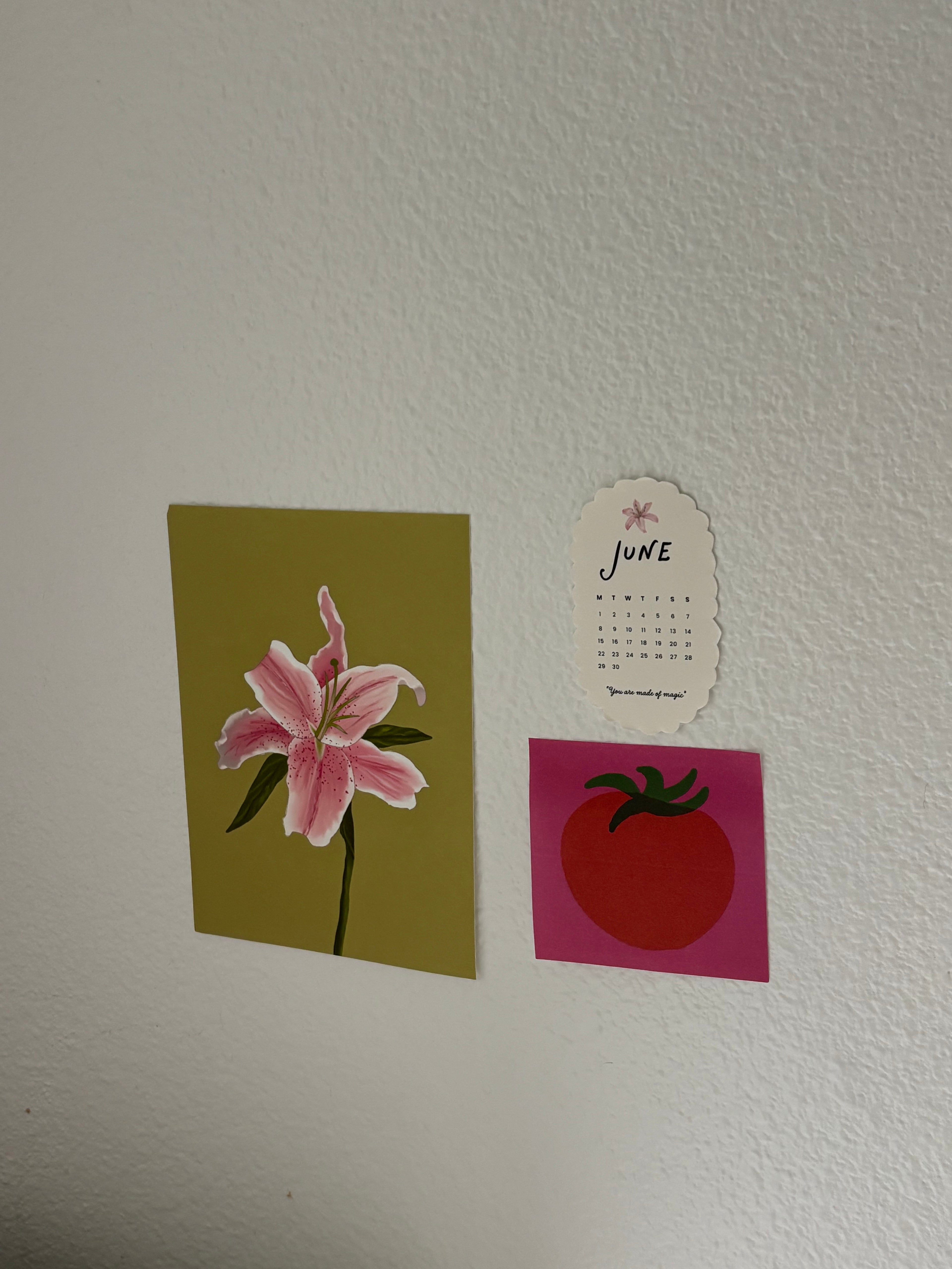 Tropical Tides — July 2026 Softly Mail Club